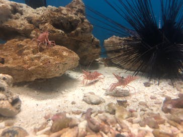 株式会社Gに投稿された画像（2022/8/3）