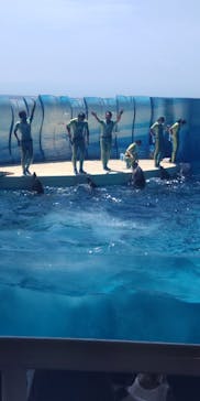 新江ノ島水族館に投稿された画像（2022/8/3）