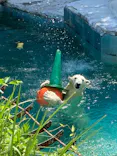 天王寺動物園に投稿された画像（2022/8/3）