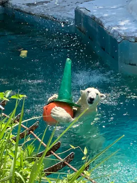 天王寺動物園に投稿された画像（2022/8/3）