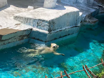 天王寺動物園に投稿された画像（2022/8/3）