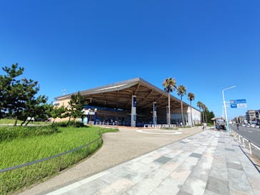 新江ノ島水族館に投稿された画像（2022/8/3）