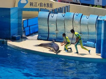 新江ノ島水族館に投稿された画像（2022/8/3）