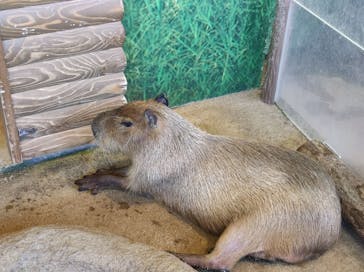 新江ノ島水族館に投稿された画像（2022/8/3）