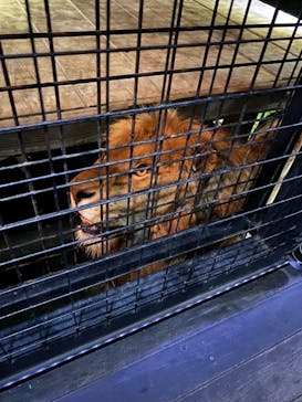 那須サファリパークに投稿された画像（2022/8/3）