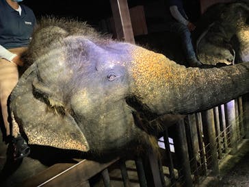 那須サファリパークに投稿された画像（2022/8/3）