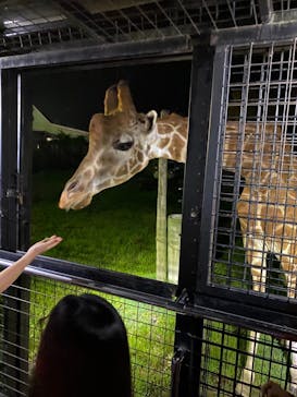 那須サファリパークに投稿された画像（2022/8/3）