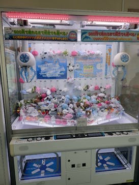 新江ノ島水族館に投稿された画像（2022/8/3）