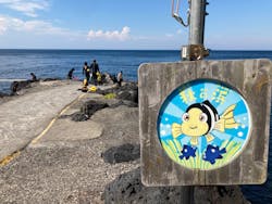 伊豆大島ミスタードルフィンダイビングサービスに投稿された画像（2022/8/3）