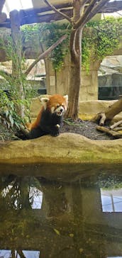 那須どうぶつ王国に投稿された画像（2022/8/3）