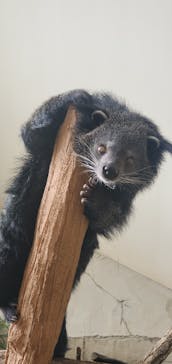 那須どうぶつ王国に投稿された画像（2022/8/3）