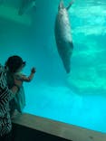 大分マリーンパレス水族館 「うみたまご」に投稿された画像（2022/8/4）