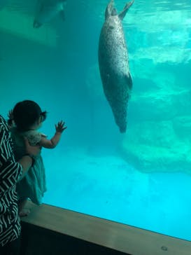 大分マリーンパレス水族館 「うみたまご」に投稿された画像（2022/8/3）