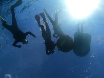 沖縄マリンサービス碧に投稿された画像（2022/8/4）