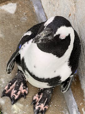 マリンワールド海の中道に投稿された画像（2022/8/4）