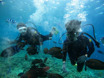 沖縄マリンサービス碧に投稿された画像（2022/8/4）