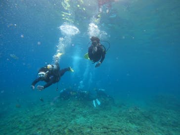 沖縄マリンサービス碧に投稿された画像（2022/8/4）