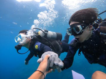 沖縄マリンサービス碧に投稿された画像（2022/8/4）