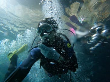 沖縄マリンサービス碧に投稿された画像（2022/8/4）