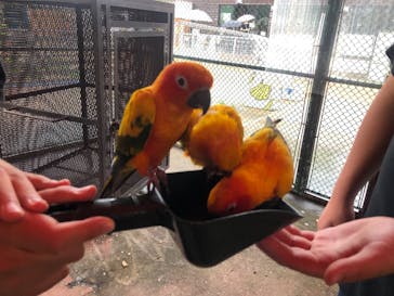 那須ワールドモンキーパークに投稿された画像（2022/8/4）