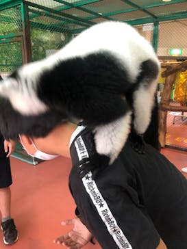 那須ワールドモンキーパークに投稿された画像（2022/8/4）