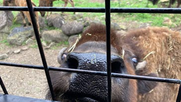 那須どうぶつ王国に投稿された画像（2022/8/4）