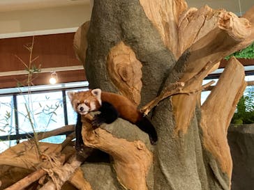 ネオパークオキナワに投稿された画像（2022/8/4）