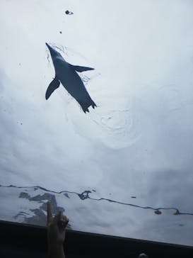 サンシャイン水族館に投稿された画像（2022/8/4）