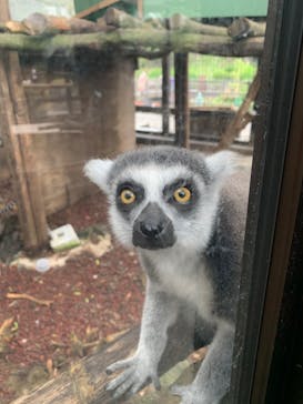 伊豆シャボテン動物公園に投稿された画像（2022/8/4）