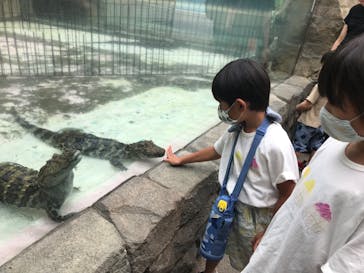 熱川バナナワニ園に投稿された画像（2022/8/4）