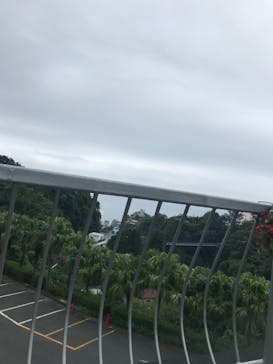 熱川バナナワニ園に投稿された画像（2022/8/4）