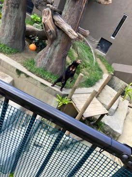 沖縄こどもの国に投稿された画像（2022/8/4）