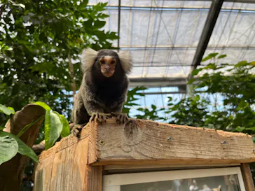 神戸どうぶつ王国に投稿された画像（2022/8/4）