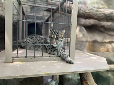 神戸どうぶつ王国に投稿された画像（2022/8/4）