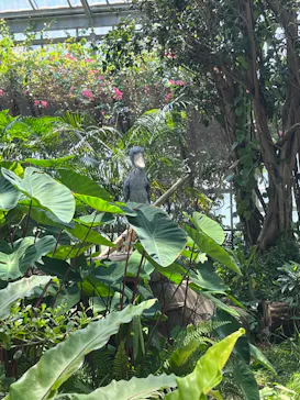 神戸どうぶつ王国に投稿された画像（2022/8/4）