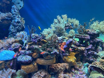 サンシャイン水族館に投稿された画像（2022/8/4）