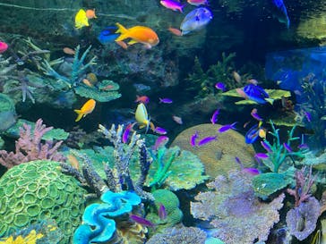 サンシャイン水族館に投稿された画像（2022/8/4）