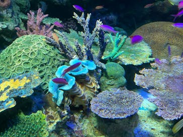 サンシャイン水族館に投稿された画像（2022/8/4）