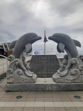 アクアワールド茨城県大洗水族館に投稿された画像（2022/8/4）