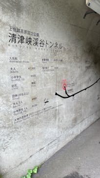 清津峡渓谷トンネルに投稿された画像（2022/8/4）