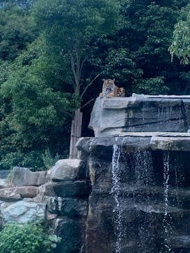 姫路セントラルパークに投稿された画像（2022/8/4）