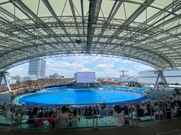 名古屋港水族館に投稿された画像（2022/8/4）