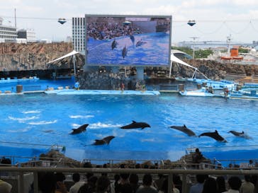 名古屋港水族館に投稿された画像（2022/8/4）