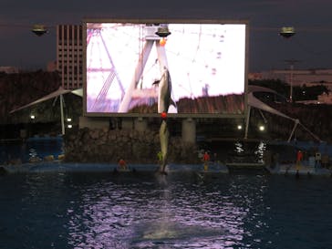 名古屋港水族館に投稿された画像（2022/8/4）