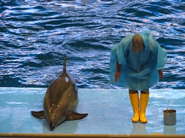 名古屋港水族館に投稿された画像（2022/8/4）