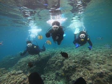 武藤潜水に投稿された画像（2022/8/4）