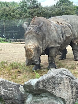 姫路セントラルパークに投稿された画像（2022/8/4）