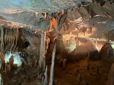 あぶくま洞に投稿された画像（2022/8/4）