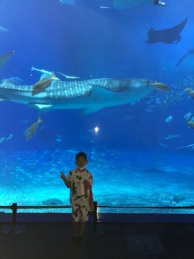 沖縄美ら海水族館に投稿された画像（2022/8/4）