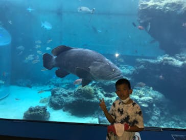 沖縄美ら海水族館に投稿された画像（2022/8/4）